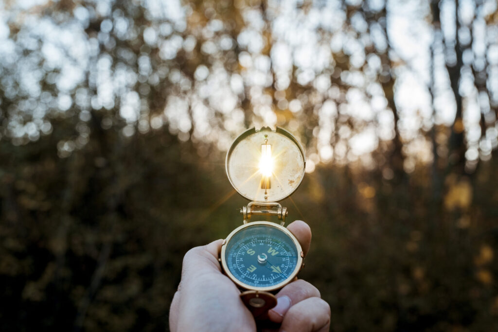 Why People Love the Dollar Tree Compass