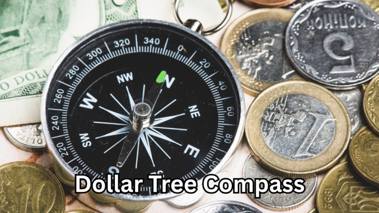 Dollar Tree Compass: A Budget-Friendly Tool for Everyday Navigation