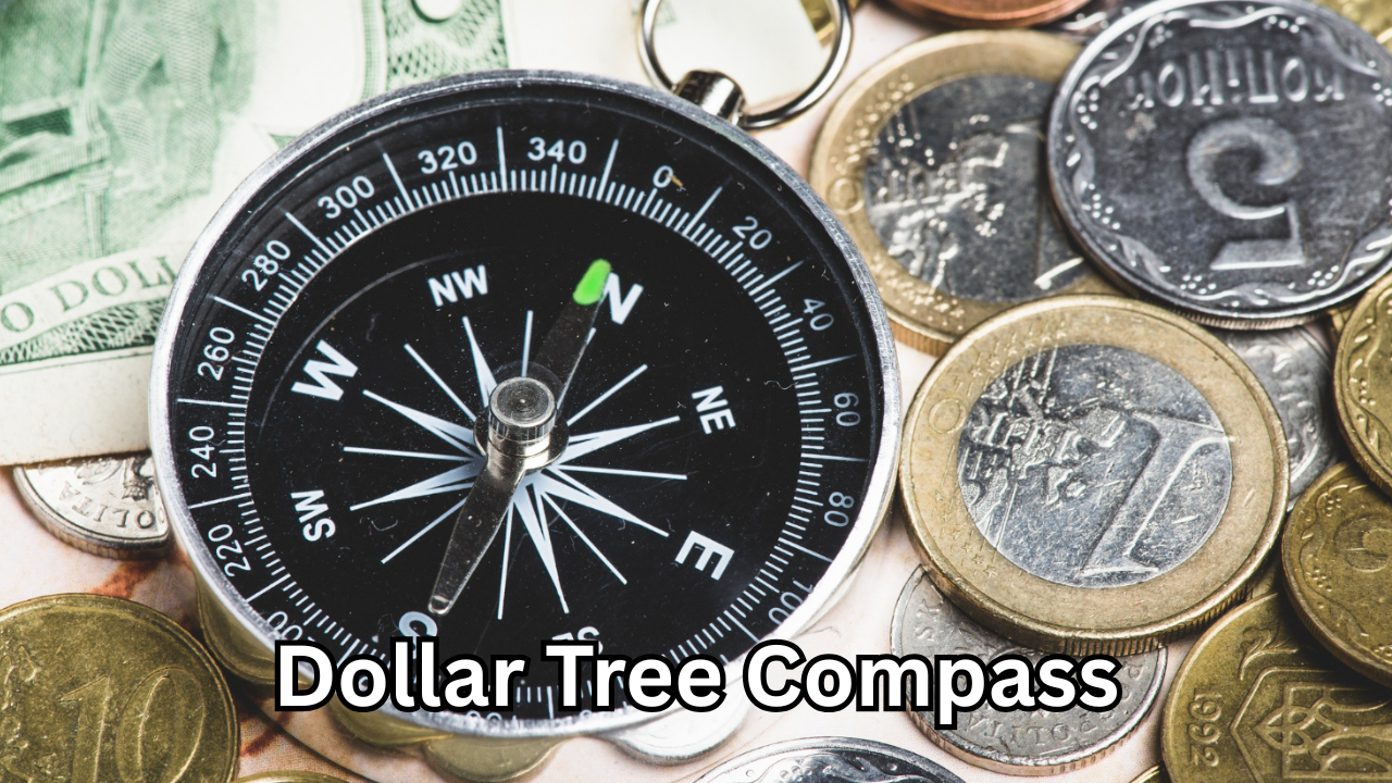 Dollar Tree Compass: A Budget-Friendly Tool for Everyday Navigation